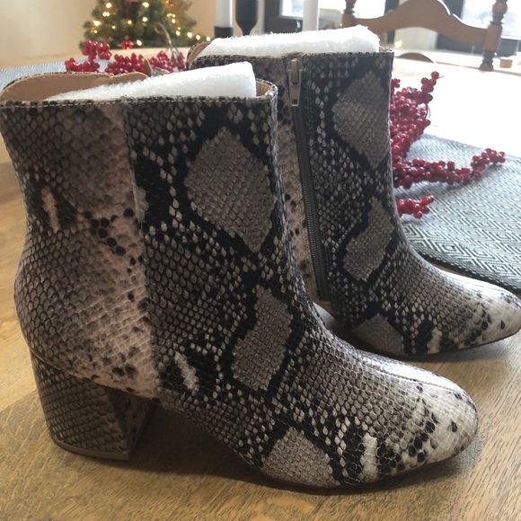 Snakeskin Chinese Laundry Booties - Picture 3 of 7